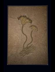 A FOSSIL SEA LILY PLAQUE WITH PYRITE CRSYTALS A FOSSIL SEA LILY PLAQUE WITH PYRITE CRSYTALS
