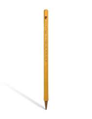 GEOFFREY BOYCOTT DOUBLE CENTURY STUMP GEOFFREY BOYCOTT DOUBLE CENTURY STUMP
