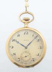 Revue-Herrentaschenuhr Schweiz/Waldenbourg Revue-Herrentaschenuhr Schweiz/Waldenbourg
