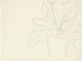 Henri Matisse (1869-1954) Henri Matisse (1869-1954)