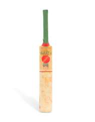 DAVID GOWER MCG AND SCG CENTURIES BAT DAVID GOWER MCG AND SCG CENTURIES BAT