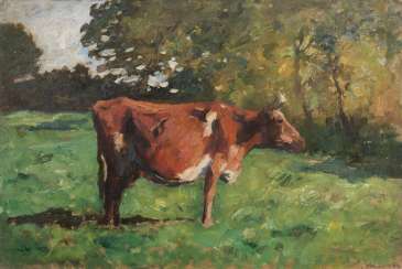 Standing Cow Standing Cow