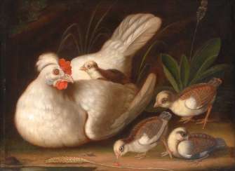 Beck, Jacob Samuel: hen and Chicks. Beck, Jacob Samuel: hen and Chicks.