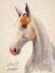 Olga Kiryakova Olga Kiryakova