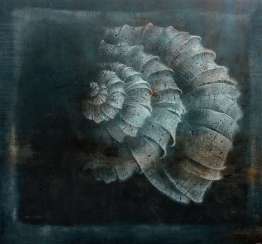 Coquillage Coquillage