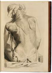 COWPER, William (1666-1709) Anatomia Corporum Humanorum Cent... COWPER, William (1666-1709) Anatomia Corporum Humanorum Cent...