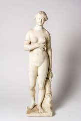 Venus Venus