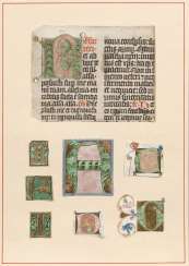 Seven initials, and a part of the text from books of Hours and Seven initials, and a part of the text from books of Hours and