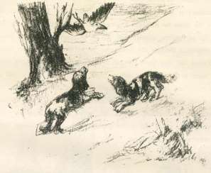 Liebermann,M. Liebermann,M.