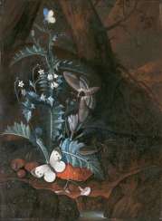 Forest floor still life with a snake, butterflies and moths Forest floor still life with a snake, butterflies and moths