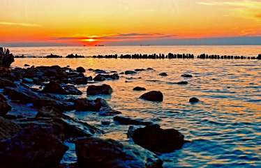 Andrey Petrosyan Andrey Petrosyan