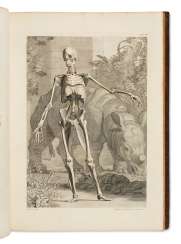 ALBINUS, Bernard Siegfried (1697-1770) Tables of the Skeleto... ALBINUS, Bernard Siegfried (1697-1770) Tables of the Skeleto...