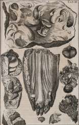 Kundmann, J.C. Kundmann, J.C.