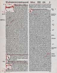 Albertus Magnus. Albertus Magnus.