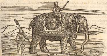 Dioscoride, P. Dioscoride, P.