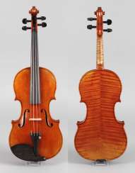 Violin in a case Violin in a case