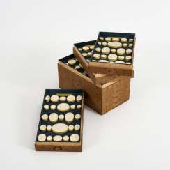 Daktyliothek in 8 oak drawers Daktyliothek in 8 oak drawers