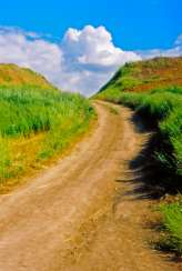 Andrey Petrosyan Andrey Petrosyan