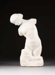 Female torso Female torso