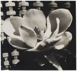 MAN RAY (1890–1976) MAN RAY (1890–1976)