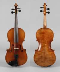 Violin in a case Violin in a case