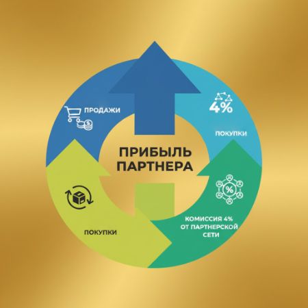 Как образуется прибыль партнера в компании BidApp24