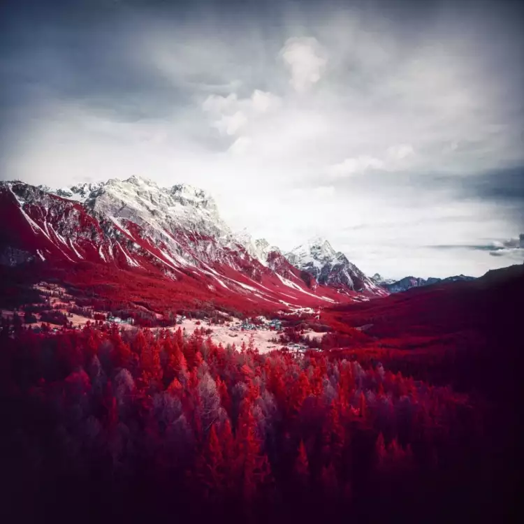 Инфракрасная фотография. Дэвид Хохлейтнер. «Без названия»