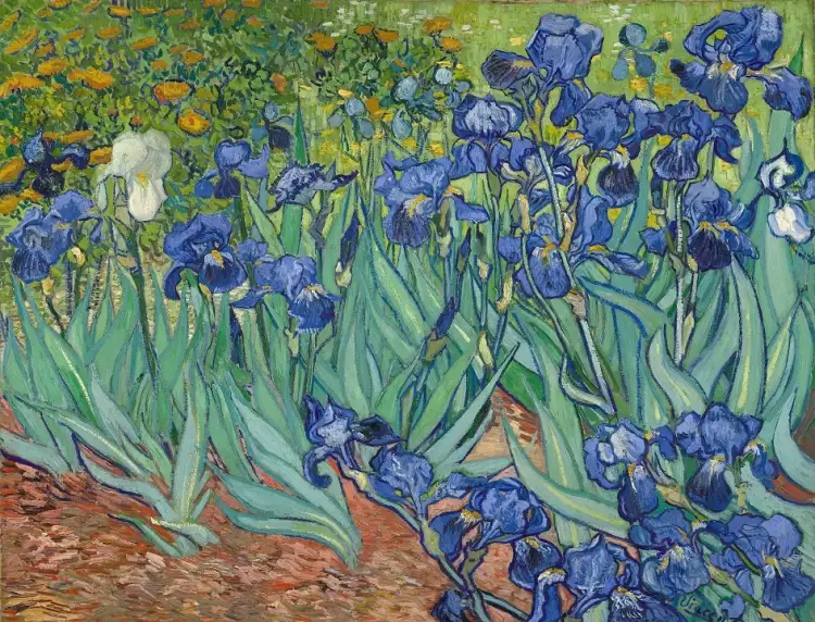Винсент Ван Гог. «Ирисы», 1889 Винсент Ван Гог. «Ирисы», 1889