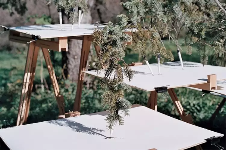 Абстракции Тима Ноулза. Лиственница рисует