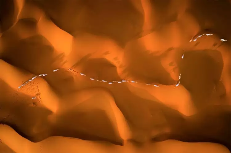 Аэрофотография. Абдулла Аль-Нассар. «Без названия»