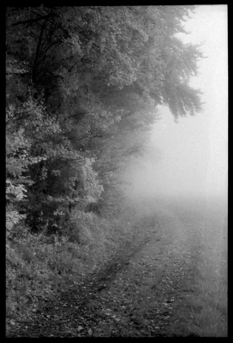 Ломография. Мартин Мартинссон. «Без названия»