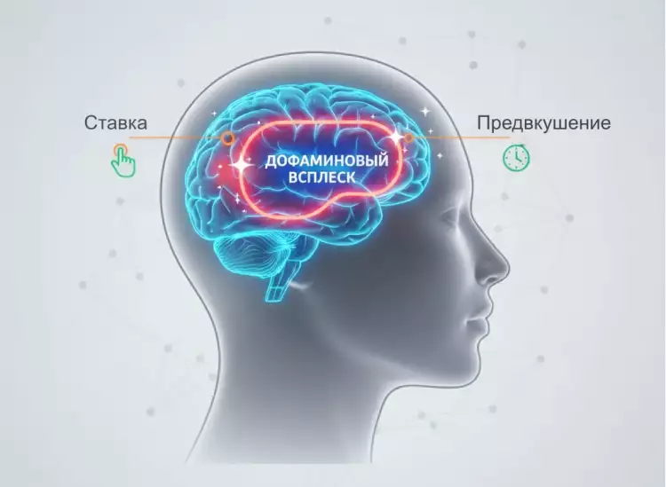 Стилизованное изображение человеческого мозга с иконками дофамина, символизирующее азарт и геймификацию аукционных торгов. Стилизованное изображение человеческого мозга с иконками дофамина, символизирующее азарт и геймификацию аукционных торгов.