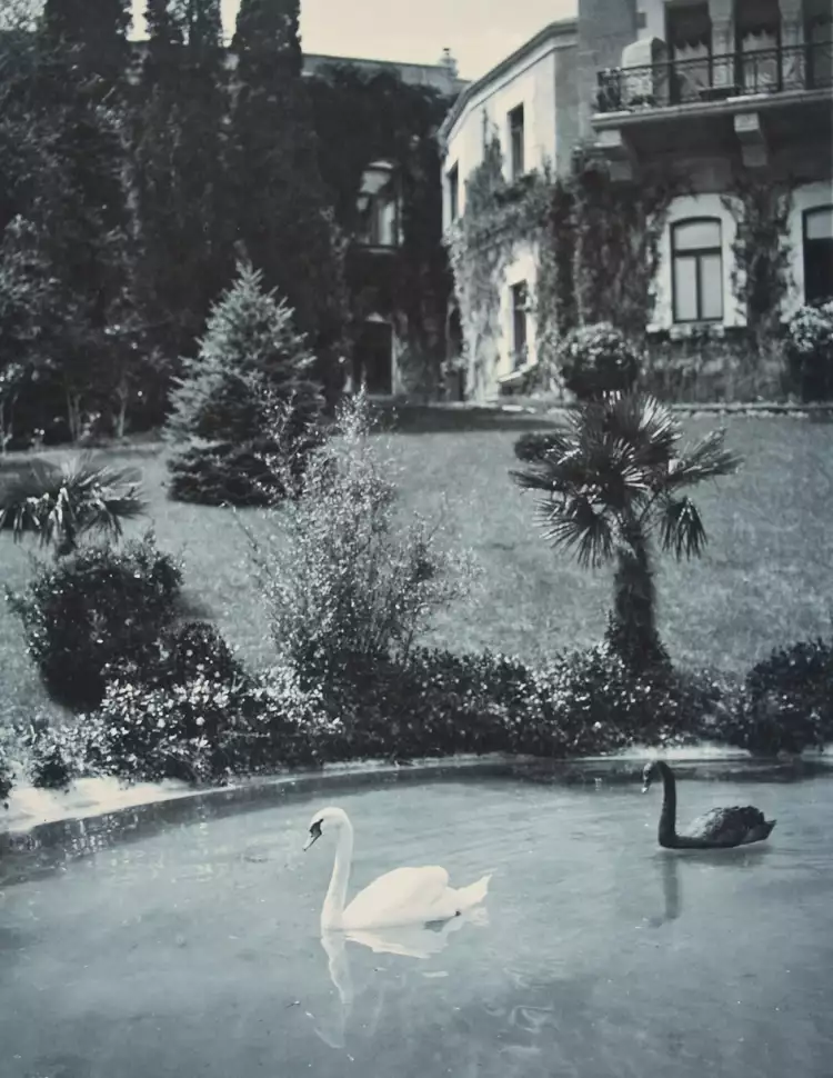 Выставка «Нестоличные владения князей Юсуповых. Кореиз». Водоем с лебедями, 1912