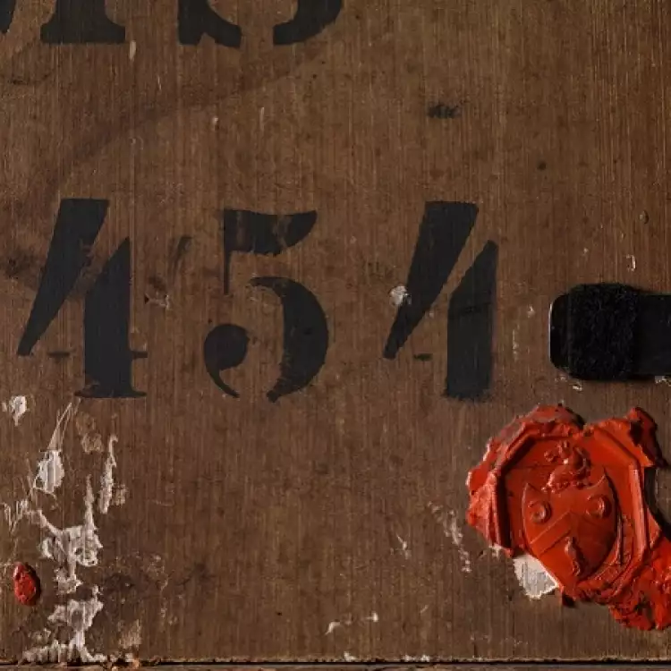 Обратная сторона картины «Девушка с попугаем»