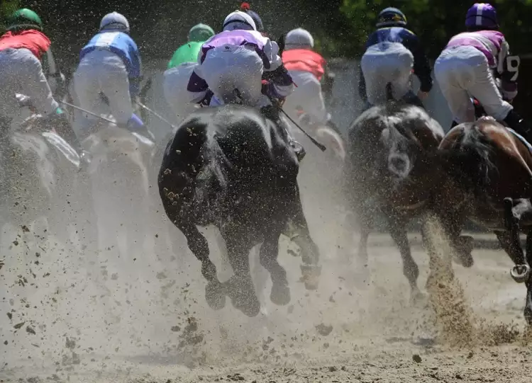 Репортажная съемка. Владимир Вяткин. Фотография из серии «Несчастливая лошадка» Репортажная съемка. Владимир Вяткин. Фотография из серии «Несчастливая лошадка»