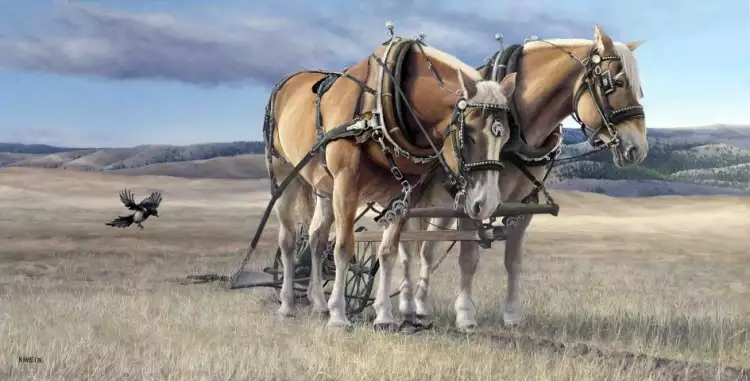 Acryl. Neil Hamelin. Ländliche Landschaft, 2015 Acryl. Neil Hamelin. Ländliche Landschaft, 2015