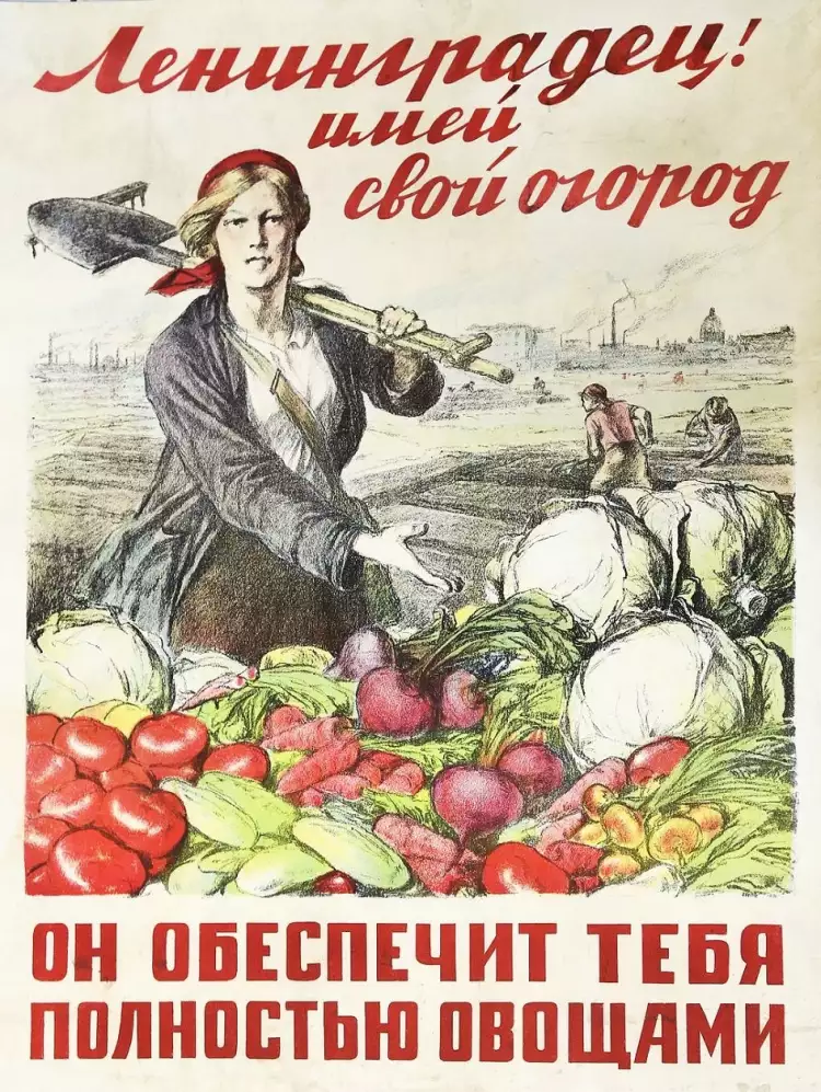 Окна ТАСС». Мотивационный плакат