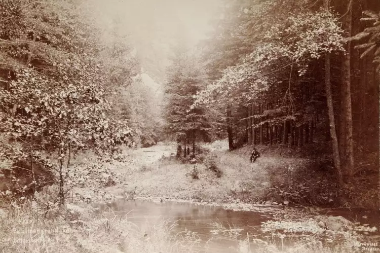 Пейзаж в фотографии. Герман Кроне «Паулиненгрунд», 1885