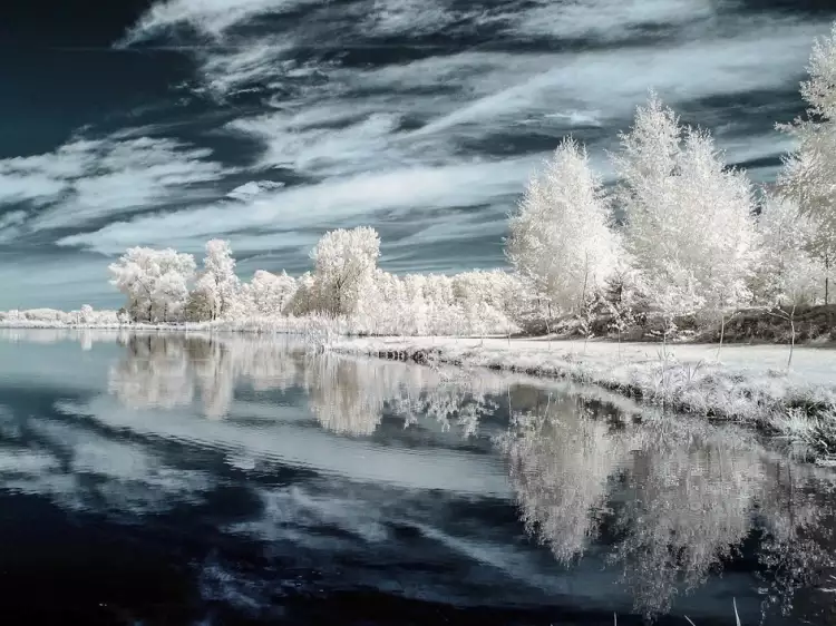 Инфракрасная фотография. Марцин Носаль. «Без названия»
