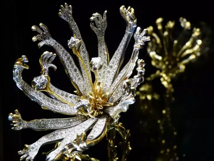 Сальвадор Дали и Карлос Алемани. «Живой цветок»