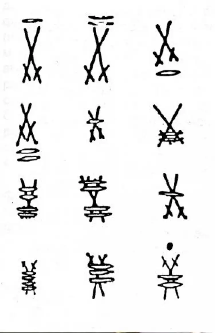 Мейсенский фарфор XIX века. Мейсенские мечи со штрихами