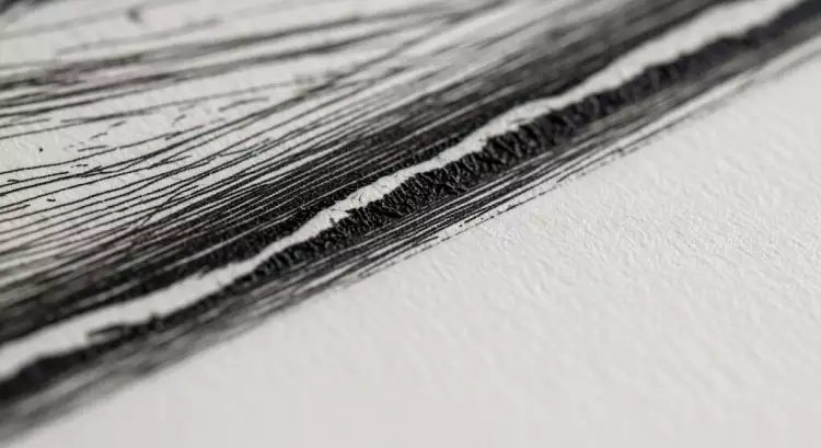 Макрофотография оттиска сухой иглы, демонстрирующая характерный бархатистый штрих с мягкими краями, созданный благодаря 'барбам'.