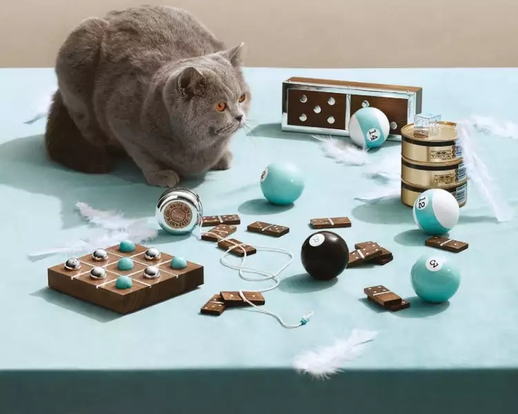 Мужская коллекция от Tiffany and Co