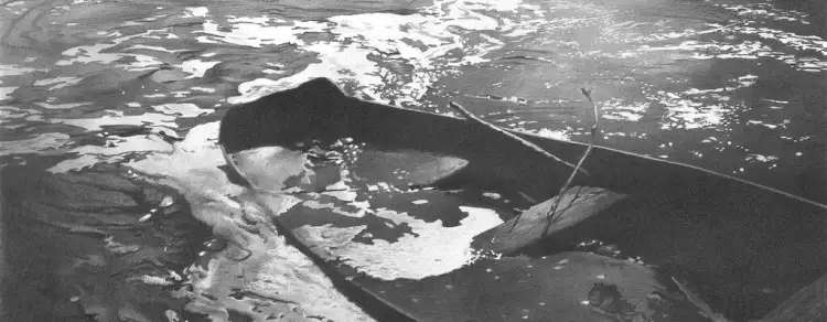 Графические работы художника Дениса Чернова