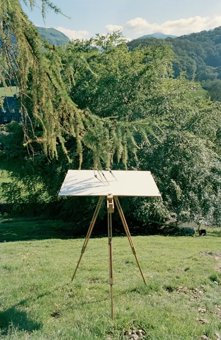 Абстракции Тима Ноулза. Дерево рисует