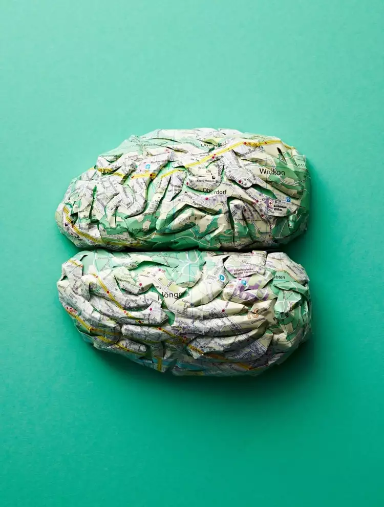 Катрин Родегаст. Почки из старых карт Катрин Родегаст. Почки из старых карт