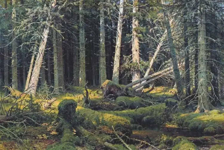 Иван Шишкин. «Бурелом», 1888 Иван Шишкин. «Бурелом», 1888