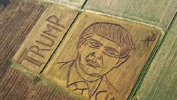 Портрет президента США Дональда Трампа в поле