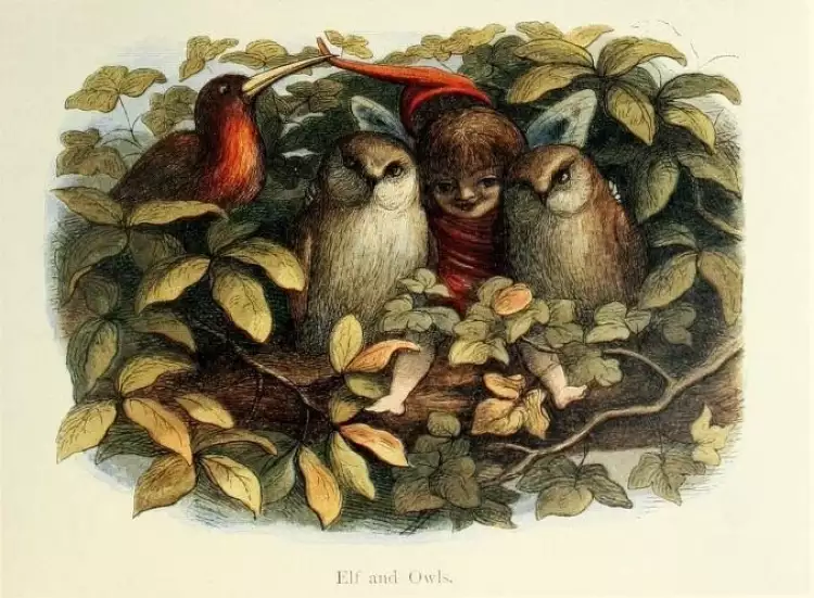 Иллюстрации к сказкам Чарльза Дойле