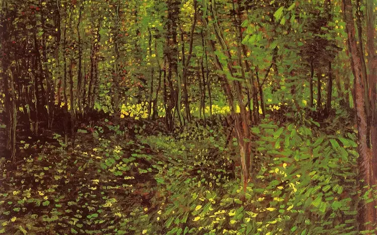Лес на картинах, или лесной пейзаж. Винсент ван Гог. «Молодые деревья», 1887 Лес на картинах, или лесной пейзаж. Винсент ван Гог. «Молодые деревья», 1887